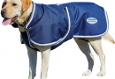 Pet Clothing to Keep your Dog Warm this Winter