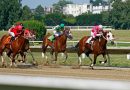 Protective Horse Gear: Safety Essentials for Riders and Horses